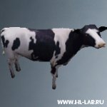 cow.zip