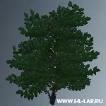 hil_baum02.zip