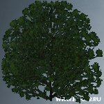 hil_baum03.zip