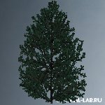 hil_baum04.zip