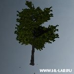 jed_deciduous_trees01.zip