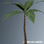 palm08.zip