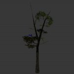 tree_btrunkv01.mdl