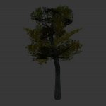 tree_gshaded.mdl