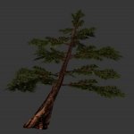 tree_japan_larch.mdl