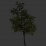 tree_japan_round.mdl