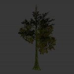 tree_jungle_05.mdl