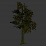 tree_jungle_06.mdl