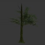 tree_jungle_07.mdl