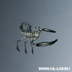 scorpion_small.zip