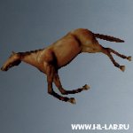 tol_horse1a