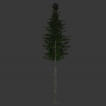 tree4_1.mdl