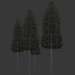 tree6_2.mdl