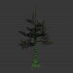 tree_jungle01.mdl