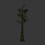 tree_junglev03.mdl