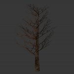 tree_noleavesv01.mdl