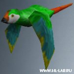 parrot