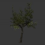 tree012.mdl