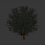 treeski2small.mdl