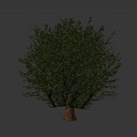treeski3small.mdl