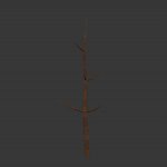 treetrunk.mdl