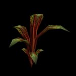 unplant1.mdl
