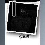 sas