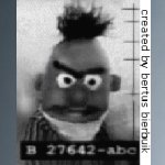 bert