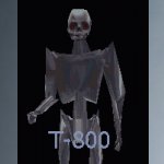 t800