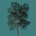 red_cross_6EPE3A.mdl