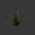 plaka_fernofdoom.mdl