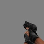 Five Seven & Flashlight