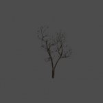 dead_tree05