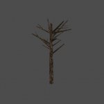dead_tree10