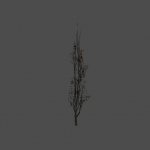 dead_tree12