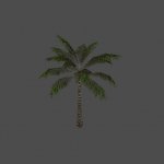 hbm_palmtree