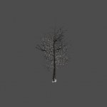 jb_austria_tree_dead_snow