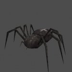 araignee