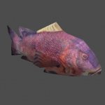 fish01