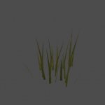 grass1c