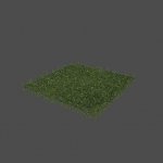 grass3