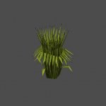 grass4