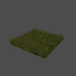 grass5