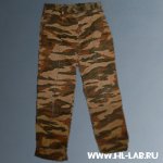td_shmotki1.mdl