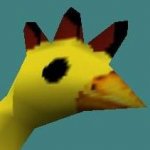 yellow chick