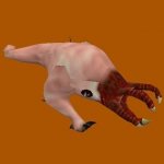 bullsquid_naked