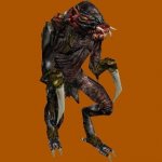 ngrunt