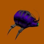 Scarab