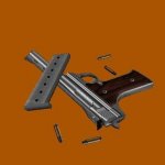 AMT Auto .45
