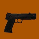 USP Match Black